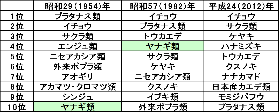 桑名市総合医療センター 12月 ユリノキ 百合の木