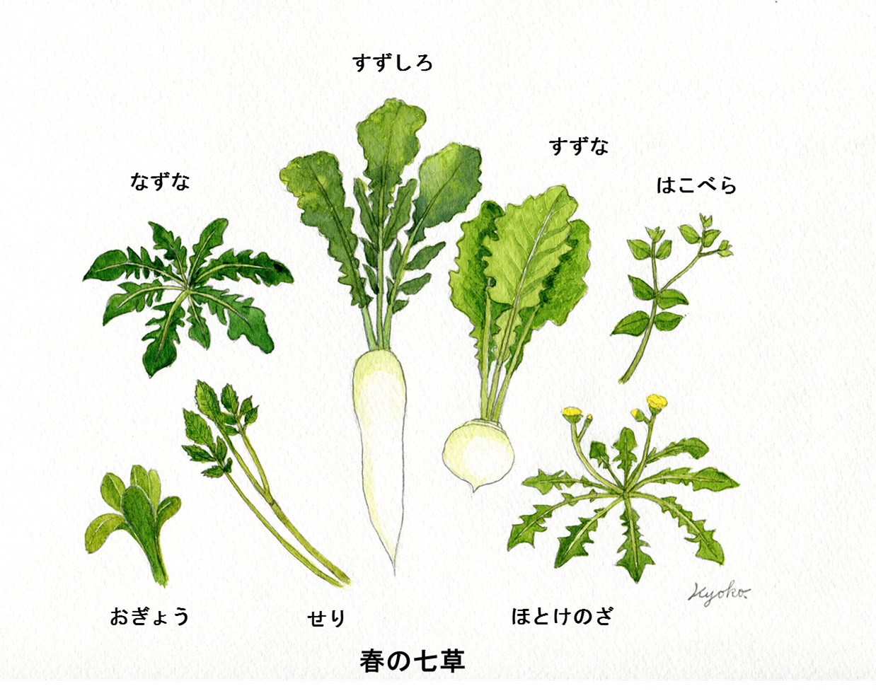 桑名市総合医療センター ２月 なずな ぺんぺん草